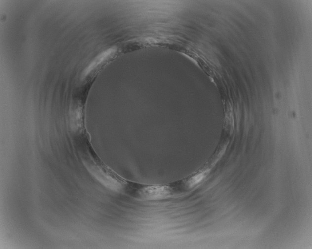 X0000074000526200609111601