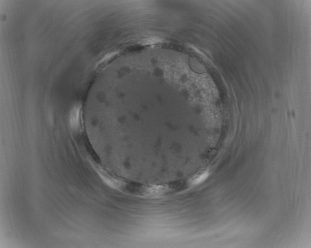 X0000074000527200609111601