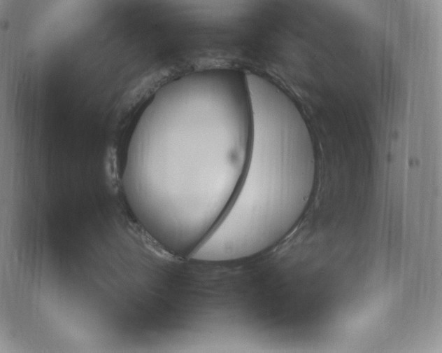 X0000074000528200609111601