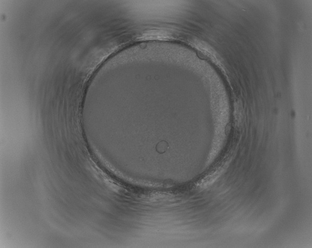 X0000074000529200609111600