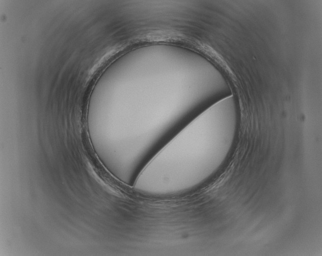 X0000074000530200609111600