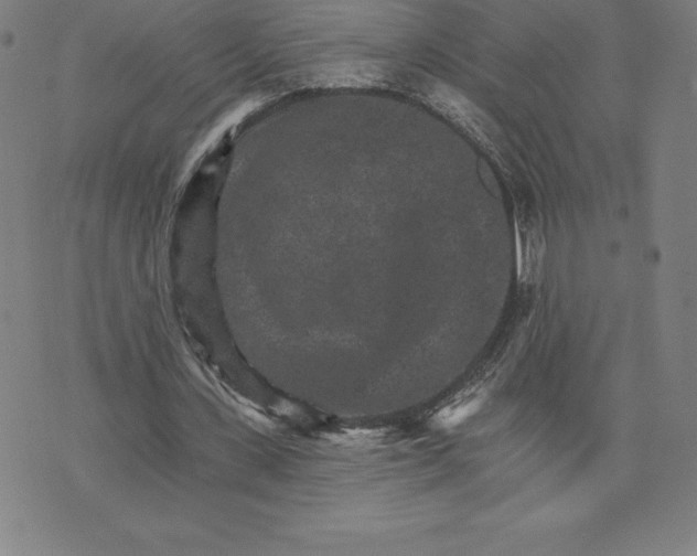 X0000074000531200609111600