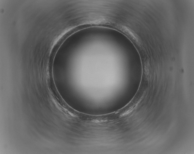 X0000074000532200609111600