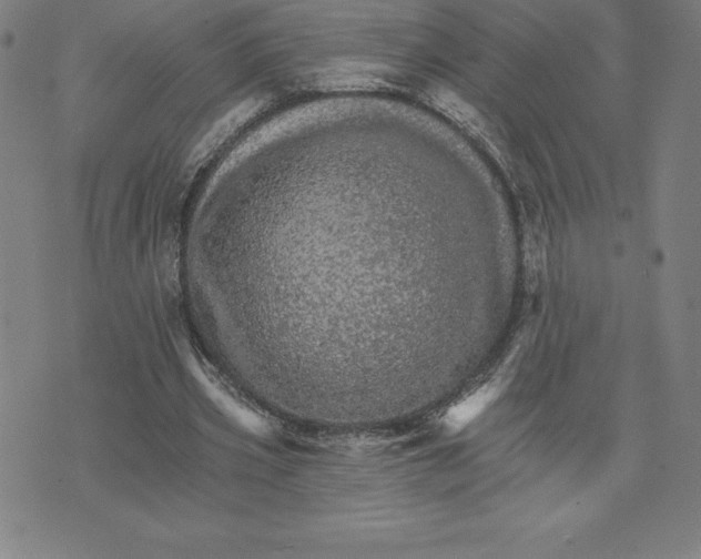 X0000074000533200609111601