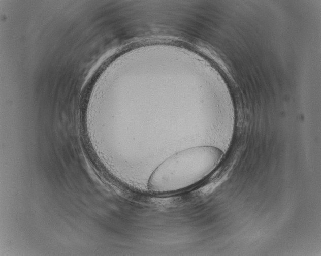 X0000074000534200609111601