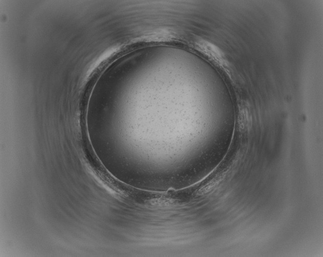 X0000074000535200609111601