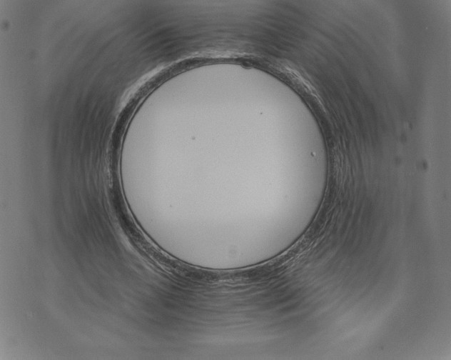 X0000074000536200609111601