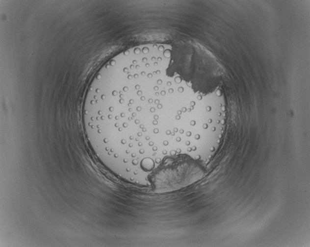 X0000074000537200609111601