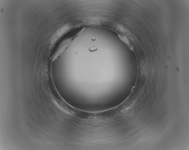 X0000074000538200609111601