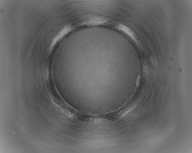 X0000074000539200609111601