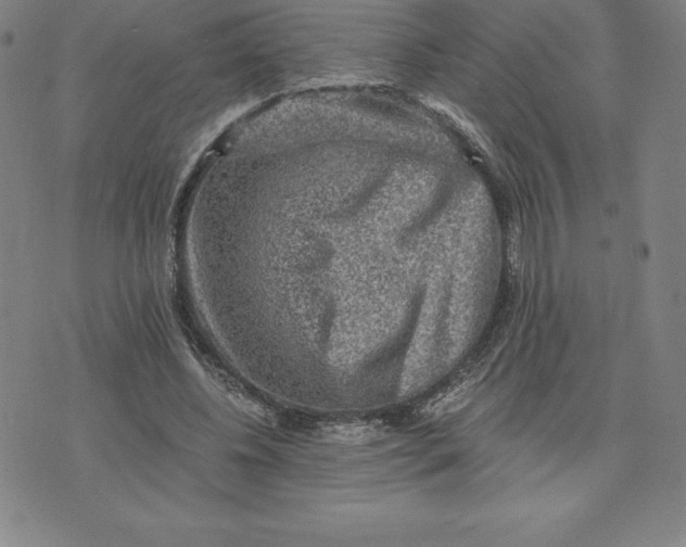 X0000074000540200609111601