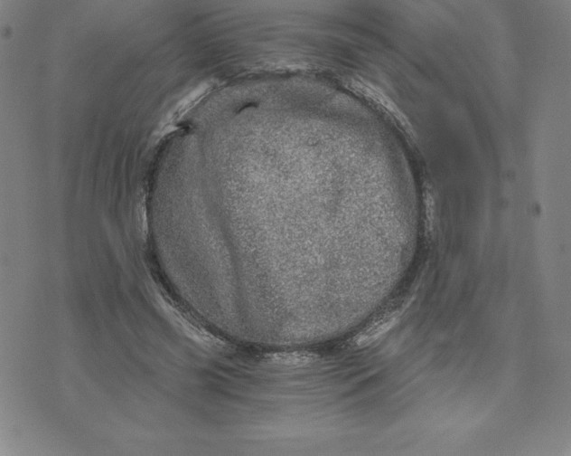 X0000074000541200609111601