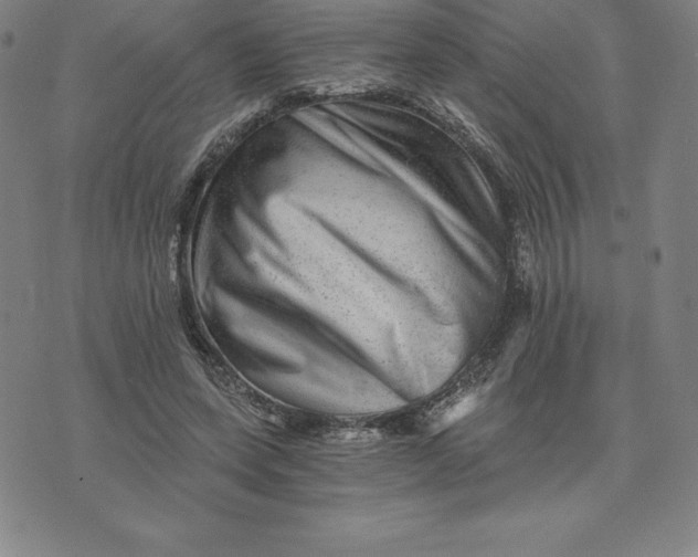 X0000074000543200609111601