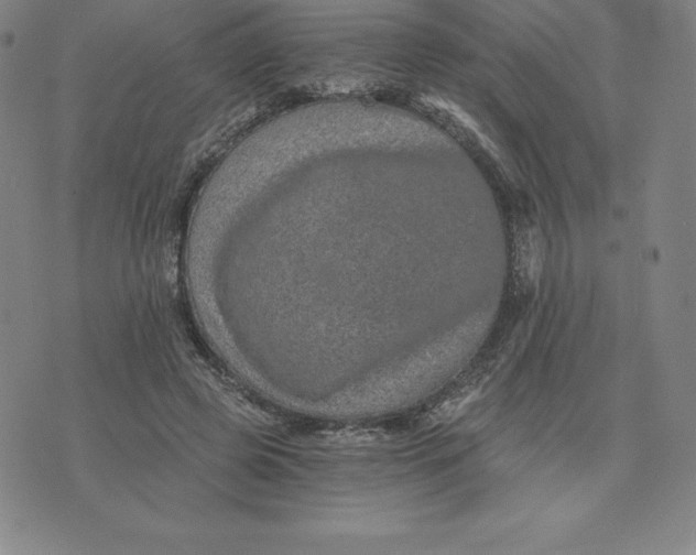 X0000074000545200609111601