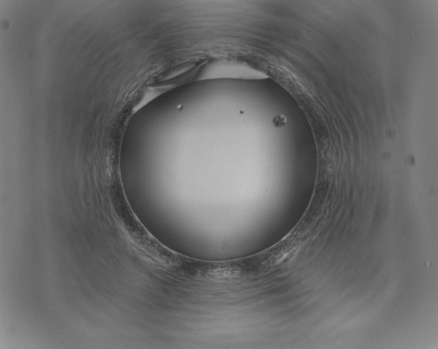 X0000074000546200609111601