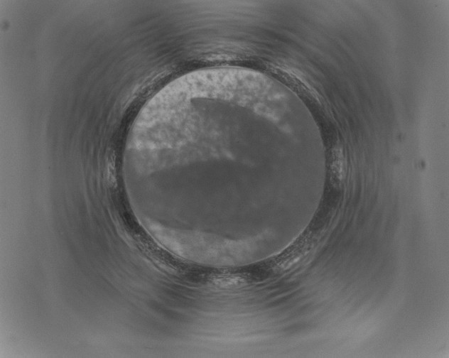 X0000074000547200609111601