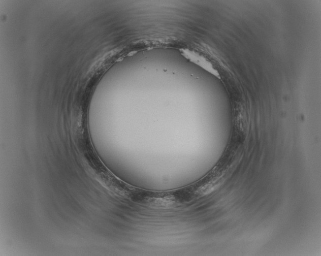 X0000074000548200609111601