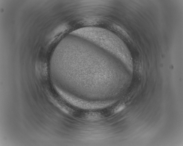 X0000074000549200609111601