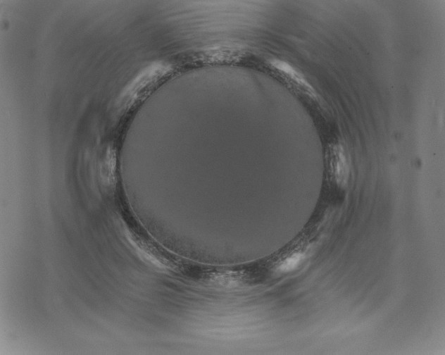 X0000074000550200609111601