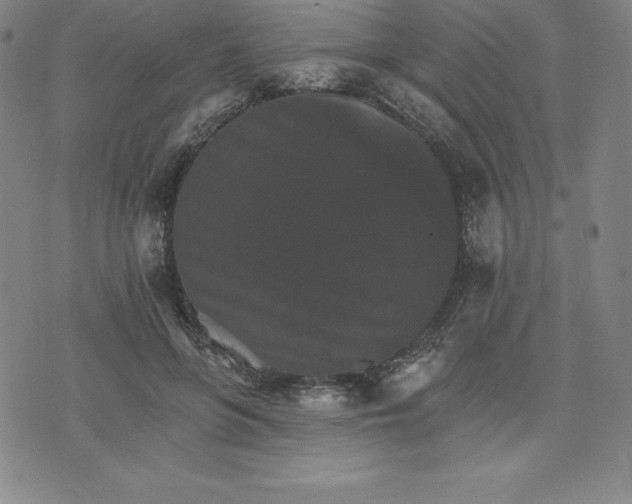 X0000074000551200609111601