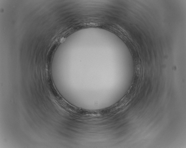 X0000074000552200609111601