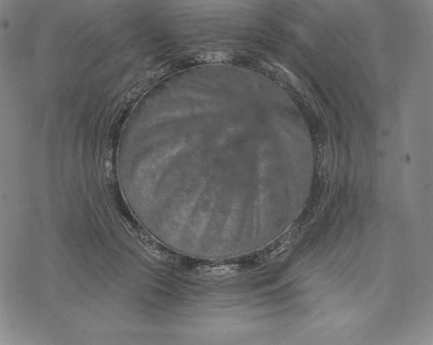 X0000074000553200609111601