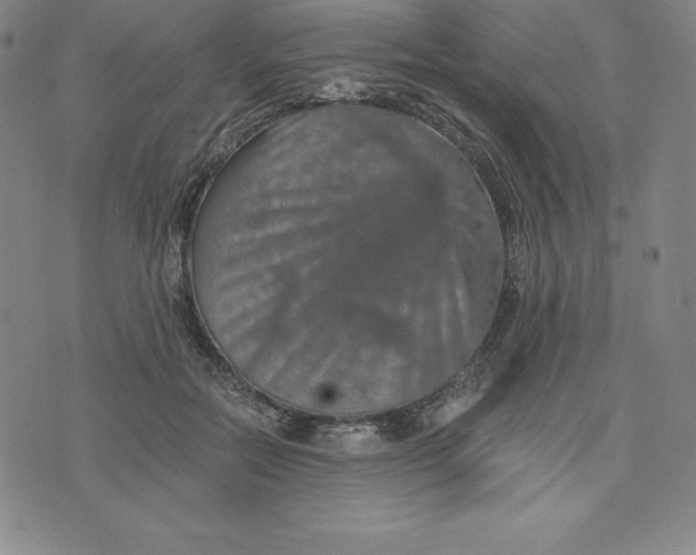 X0000074000554200609111601