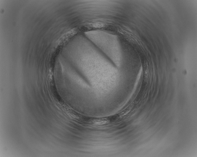 X0000074000555200609111601