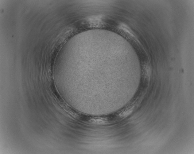 X0000074000557200609111601