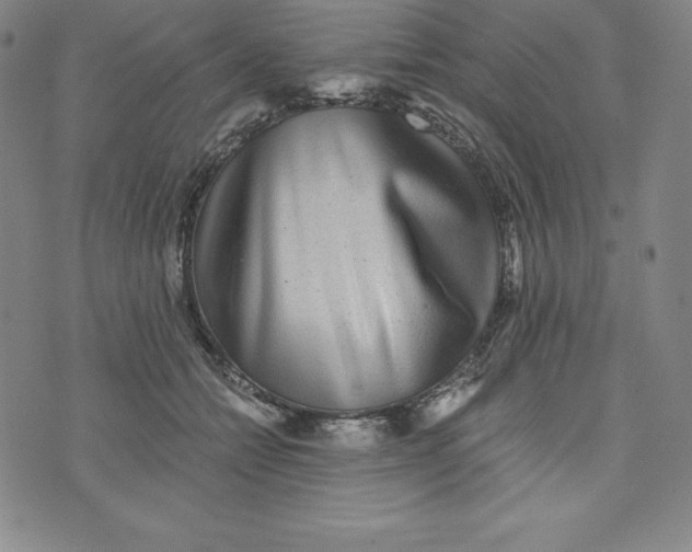 X0000074000558200609111601