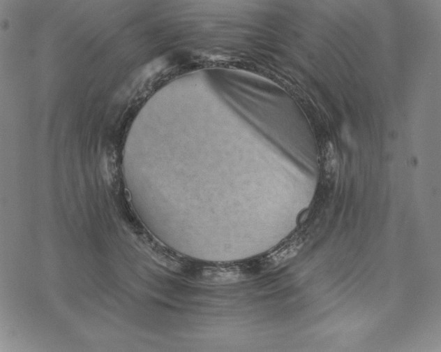 X0000074000559200609111601