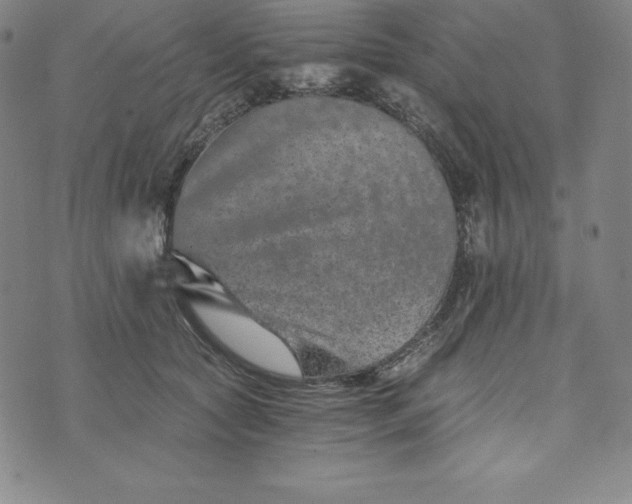 X0000074000561200609111601