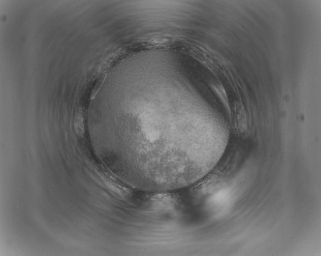 X0000074000562200609111601