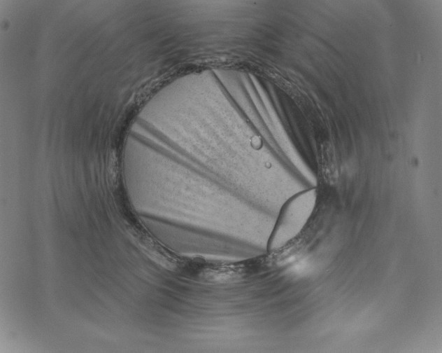 X0000074000563200609111601