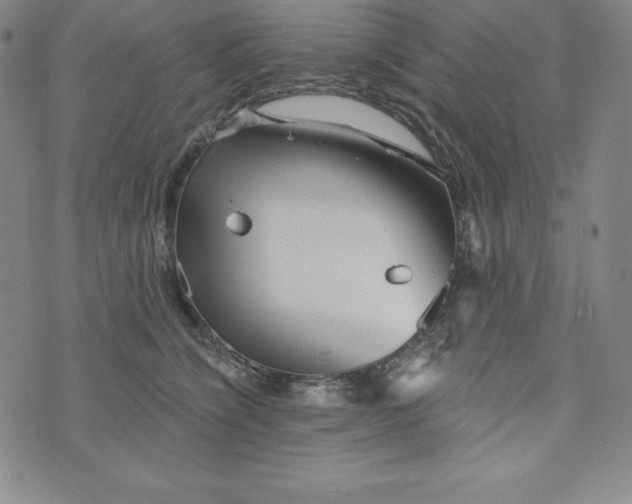 X0000074000564200609111601