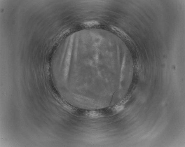 X0000074000565200609111601