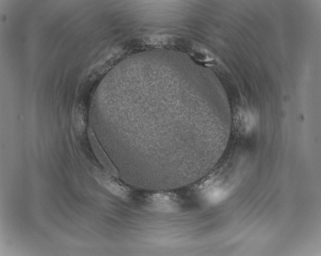 X0000074000566200609111601