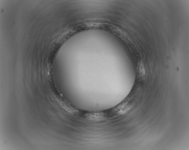 X0000074000567200609111601