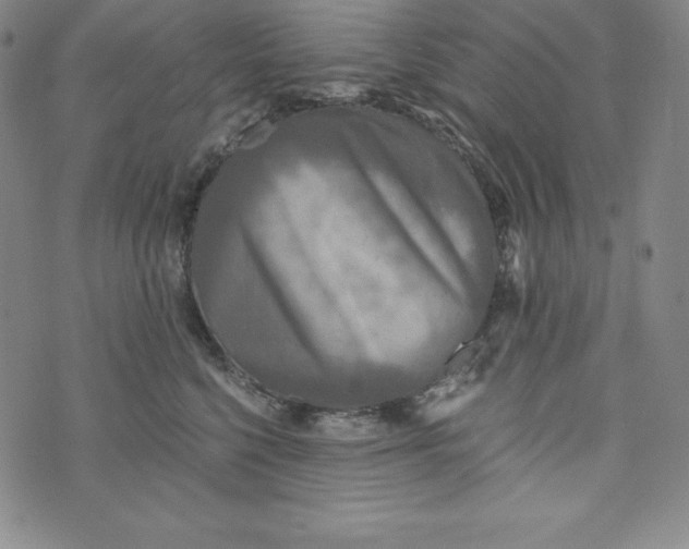 X0000074000568200609111601