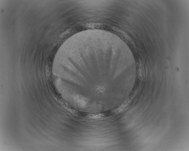 X0000074000569200609111601