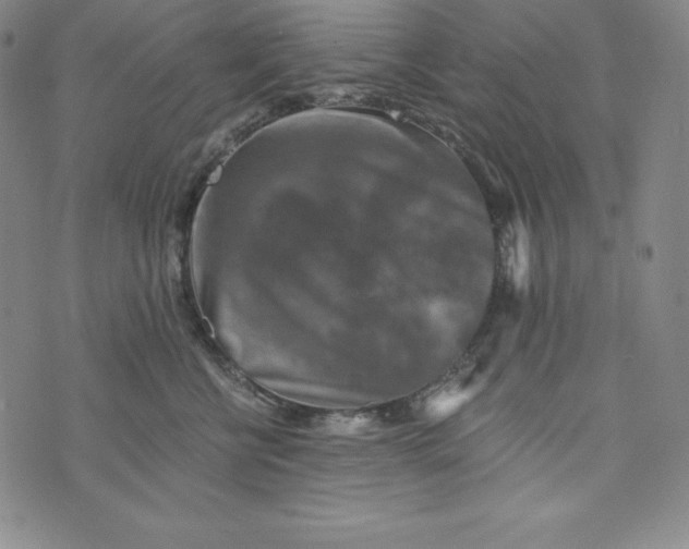 X0000074000570200609111601