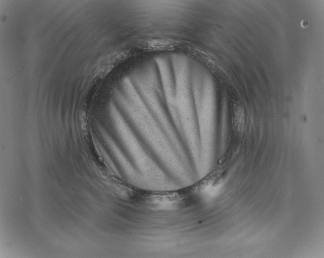 X0000074000571200609111601