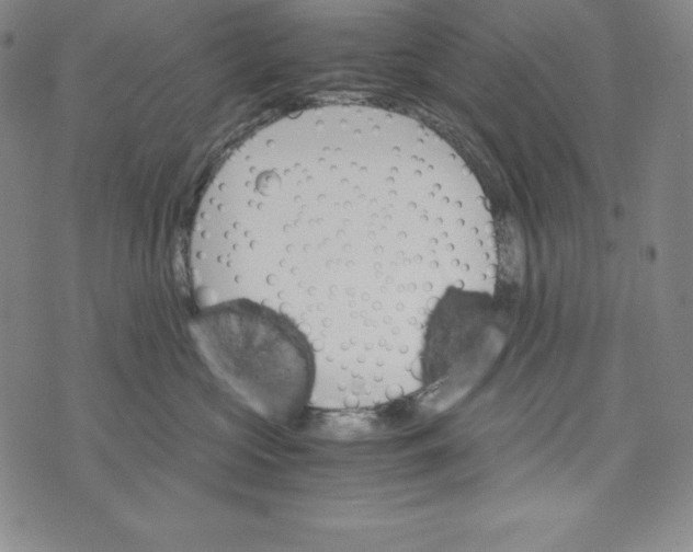 X0000074000573200609111601