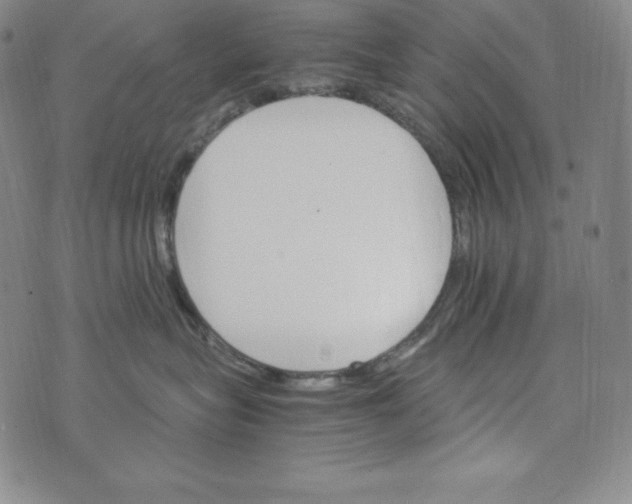 X0000074000575200609111601