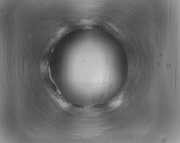 X0000074000576200609111601