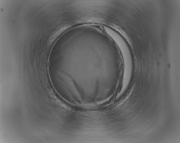 X0000074000577200609111600