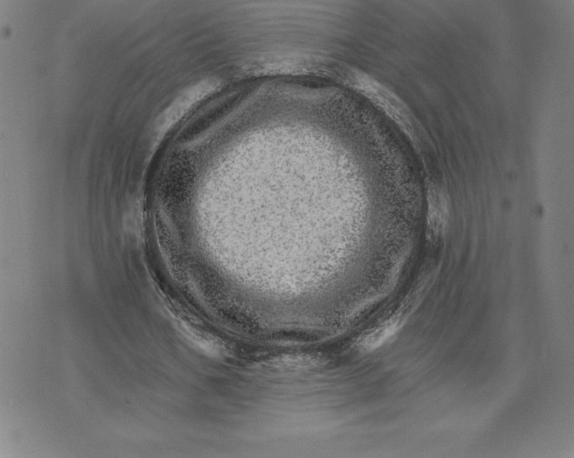 X0000074000578200609111600