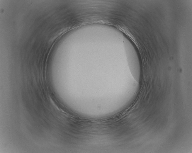 X0000074000579200609111600