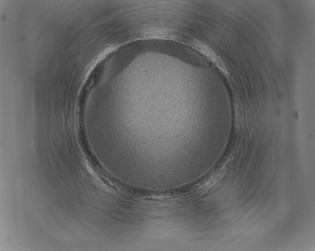 X0000074000580200609111600