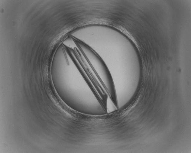 X0000074000581200609111600